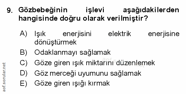Soru 9