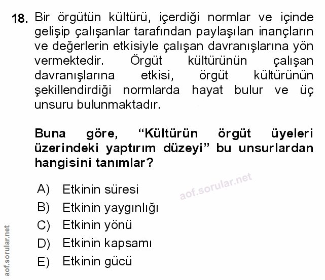 Soru 18