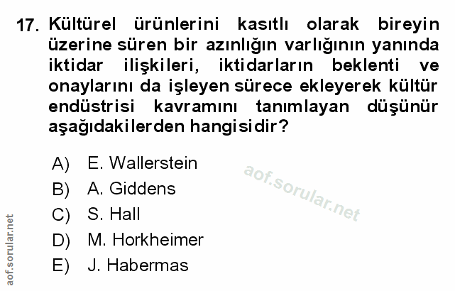 Soru 17