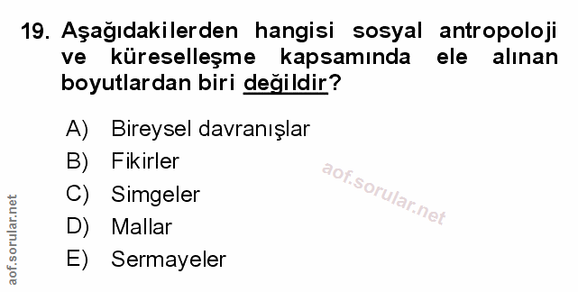 Soru 19