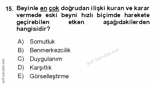 Soru 15