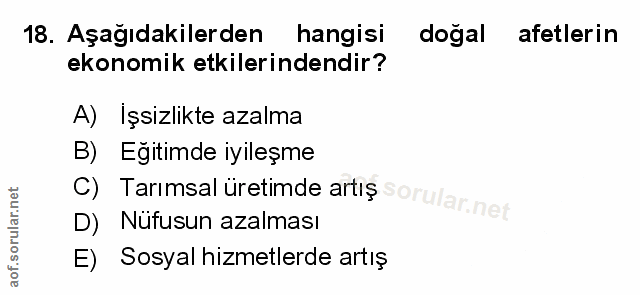 Soru 18