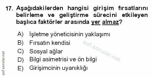 Soru 17