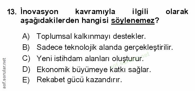 Soru 13