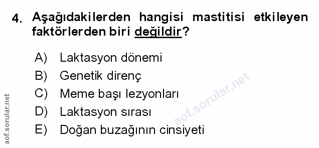 Soru 4