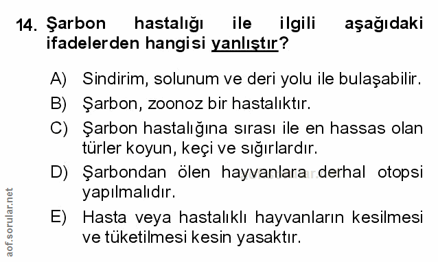 Soru 14