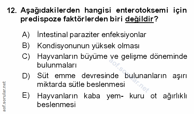 Soru 12