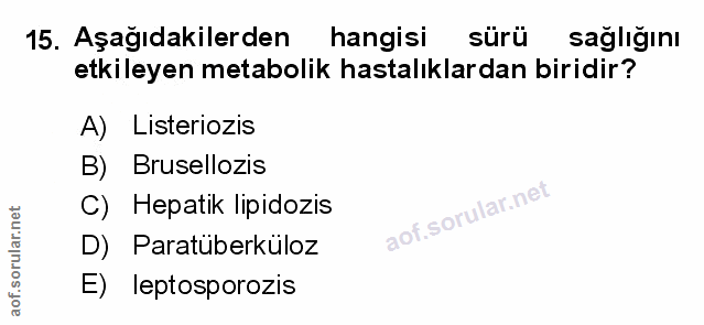 Soru 15