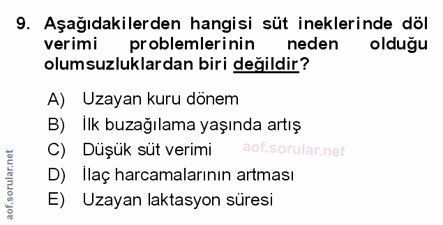 Soru 9