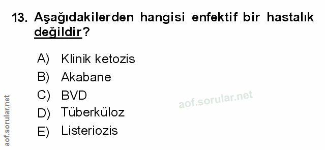 Soru 13