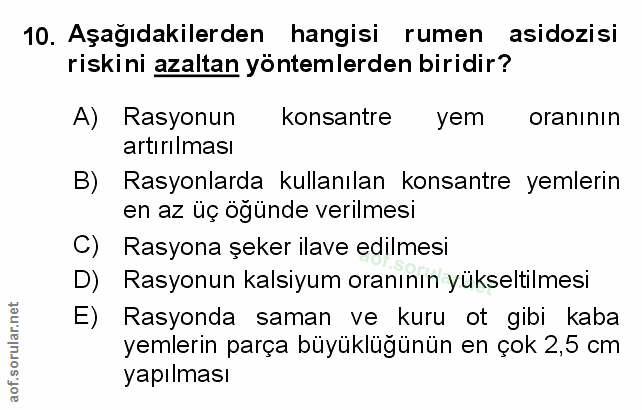 Soru 10
