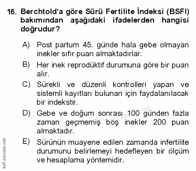 Soru 16