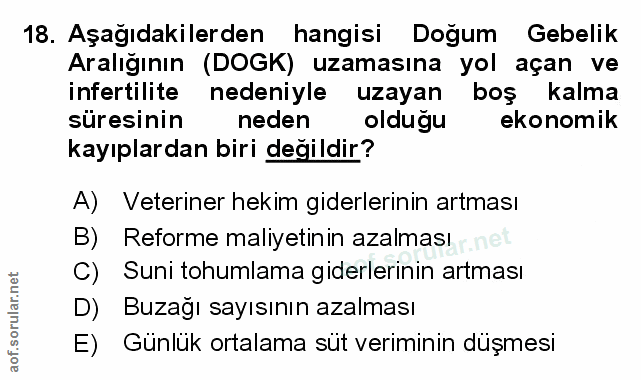Soru 18