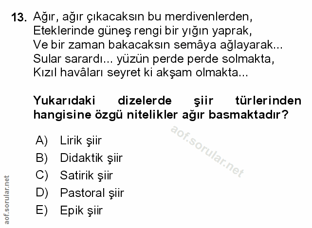 Soru 13