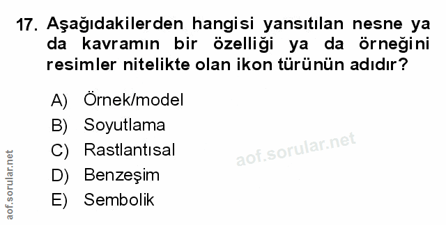 Soru 17