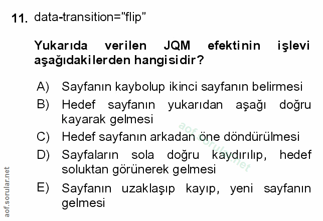 Soru 11