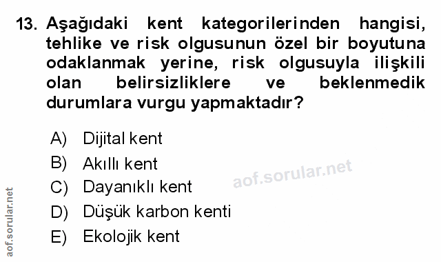 Soru 13