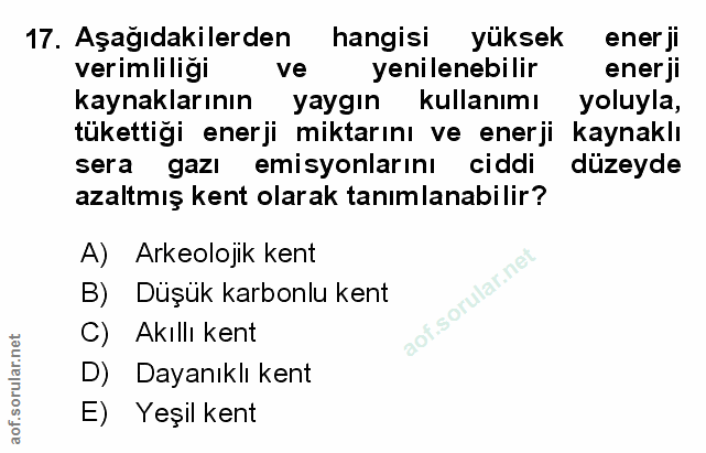 Soru 17