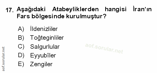 Soru 17