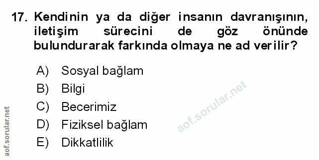 Soru 17