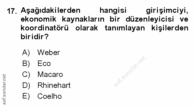 Soru 17