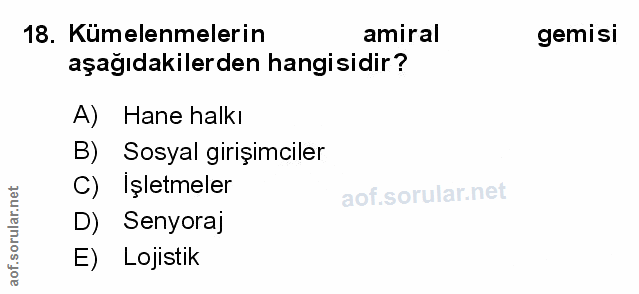 Soru 18