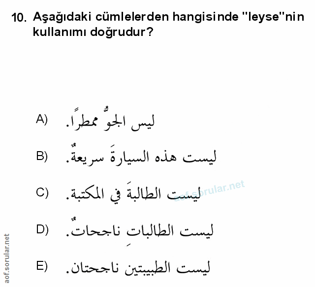 Soru 10