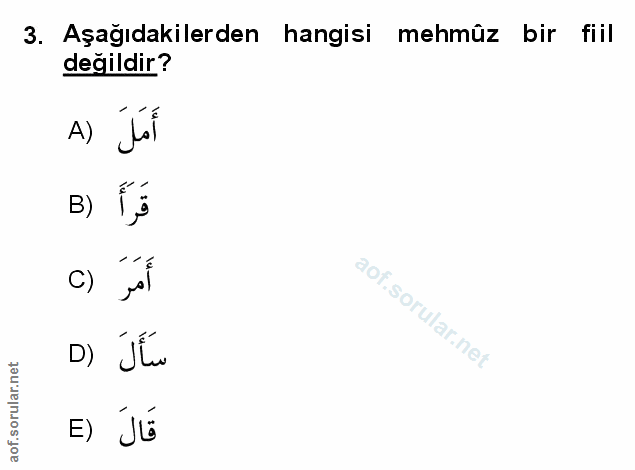 Soru 3