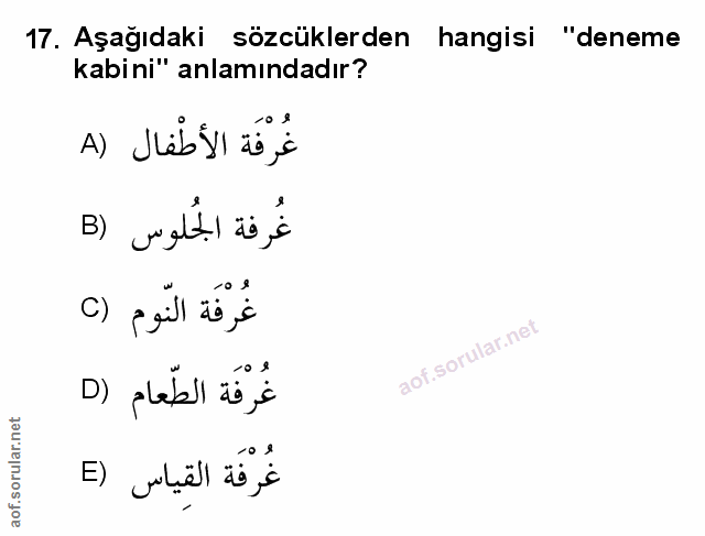Soru 17