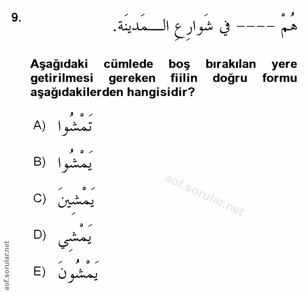 Soru 9