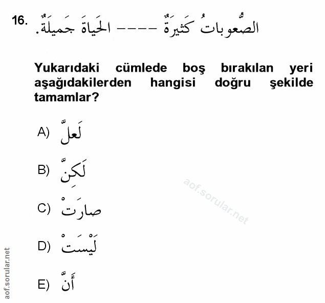 Soru 16
