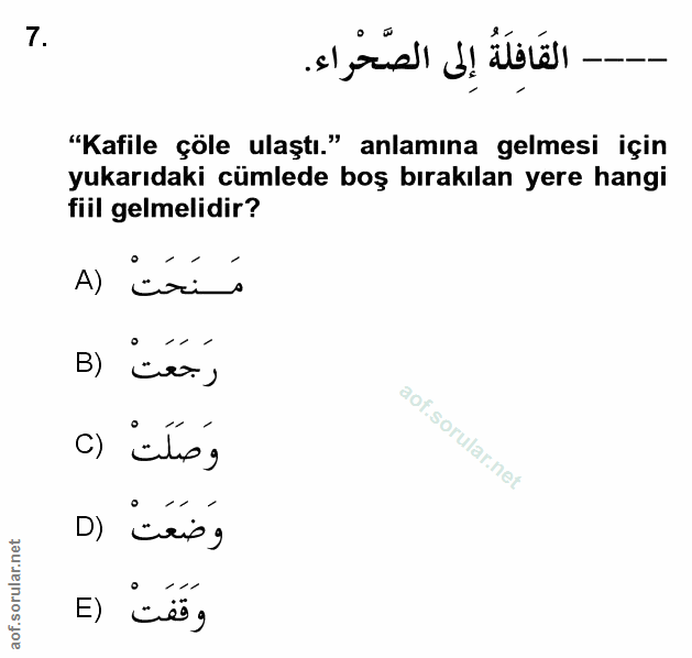 Soru 7