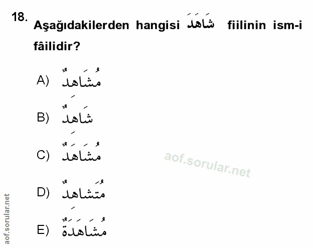 Soru 18
