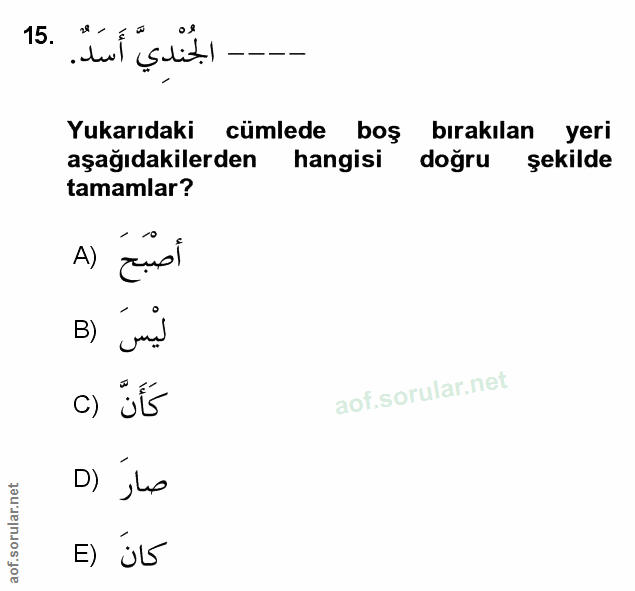Soru 15