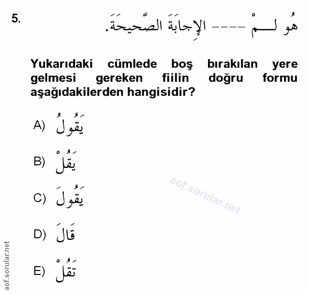 Soru 5