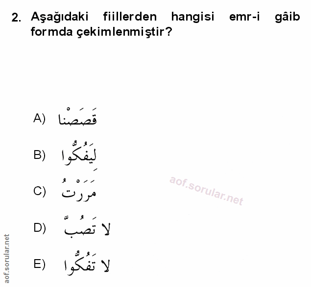 Soru 2