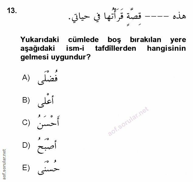 Soru 13