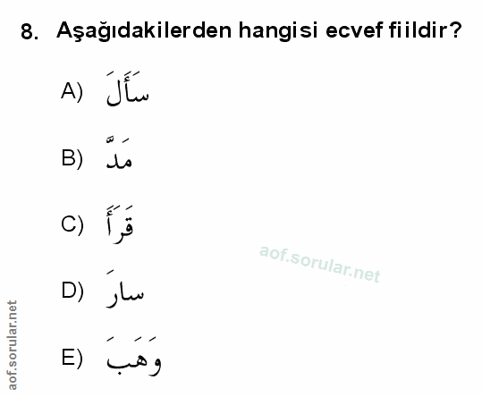 Soru 8