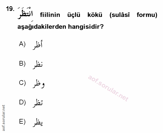 Soru 19