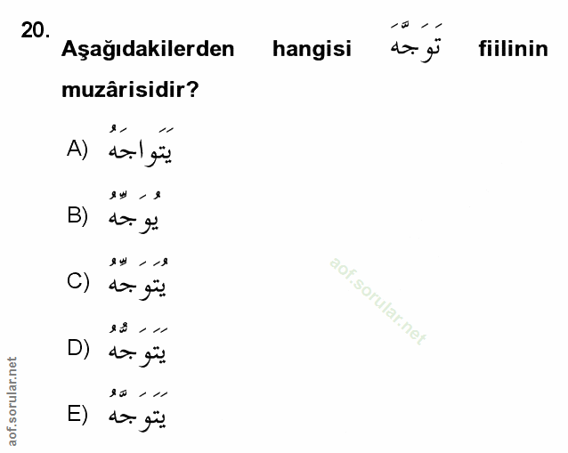 Soru 20