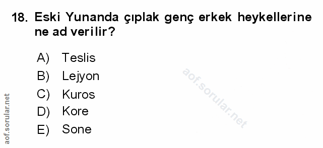 Soru 18