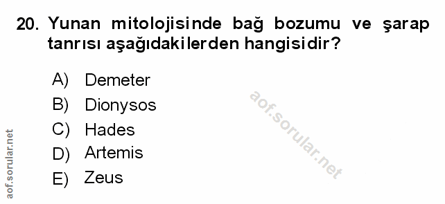 Soru 20