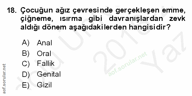 Soru 18