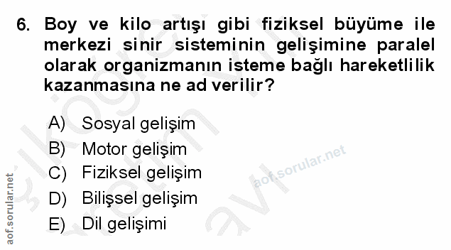 Soru 6