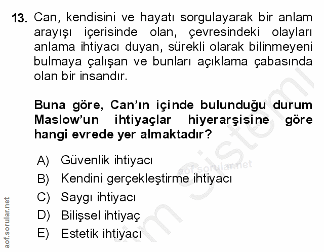 Soru 13