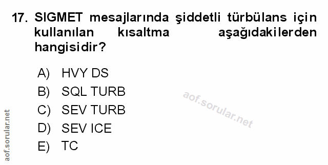 Soru 17