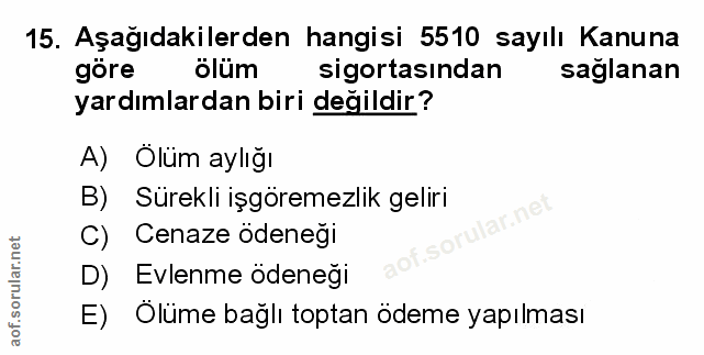 Soru 15