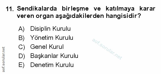 Soru 11