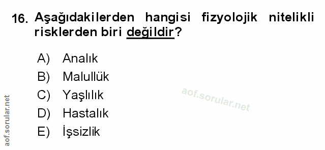 Soru 16