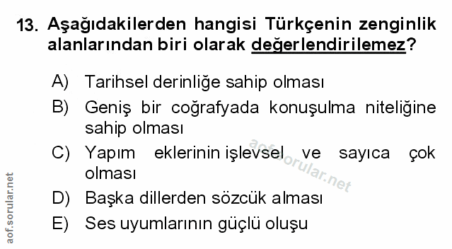 Soru 13